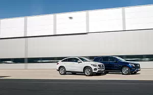   Mercedes-Benz GLE 250 d 4MATIC - 2009