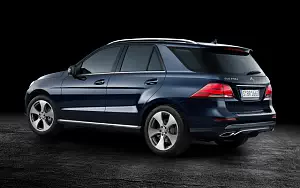   Mercedes-Benz GLE 250 d 4MATIC - 2009