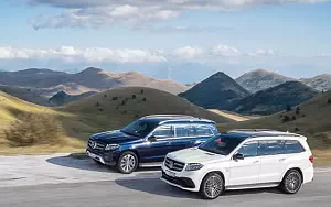   Mercedes-Benz GLS 350 d 4MATIC - 2009