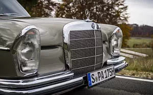 Обои автомобили Mercedes-Benz 250 SE W108 - 1965