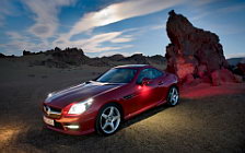   Mercedes-Benz SLK350 AMG Sports Package - 2011