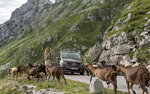 Обои автомобили Mercedes-Benz Marco Polo 250 BlueTEC - 2014