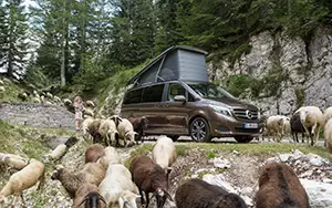 Обои автомобили Mercedes-Benz Marco Polo 250 BlueTEC - 2014