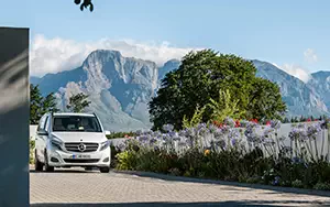   Mercedes-Benz V250 BlueTec Avantgarde - 2014