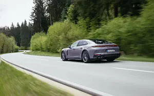   Porsche Panamera 4 E-Hybrid (Provence) - 2024