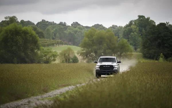   Ram 1500 Rebel (Billet Silver Metallic/Diamond Black) - 2024