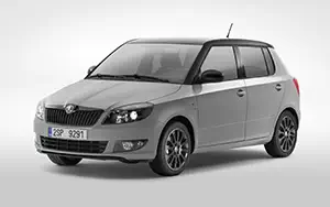   Skoda Fabia Reaction - 2013