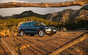   Skoda Kodiaq - 2017