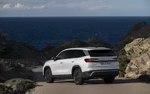   Skoda Kodiaq iV - 2024