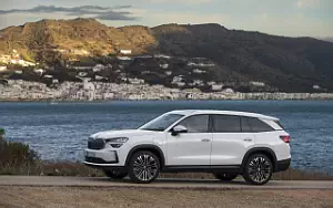   Skoda Kodiaq iV - 2024