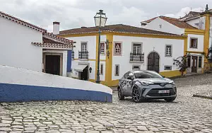   Toyota C-HR Hybrid (Grey) - 2019